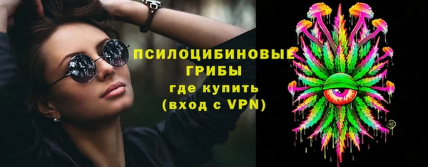 МДПВ Семёнов