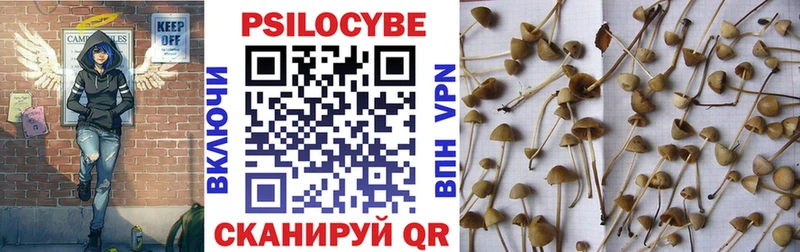 купить наркоту  Поронайск  shop формула  Галлюциногенные грибы мицелий 